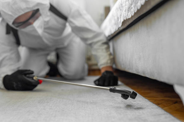 Professional Cockroach Control technician working in Rose Hills, CA