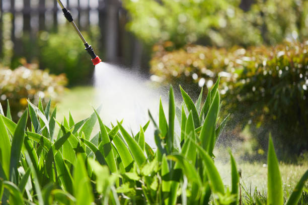 24/7 Emergency Cockroach Control experts in Rose Hills, CA