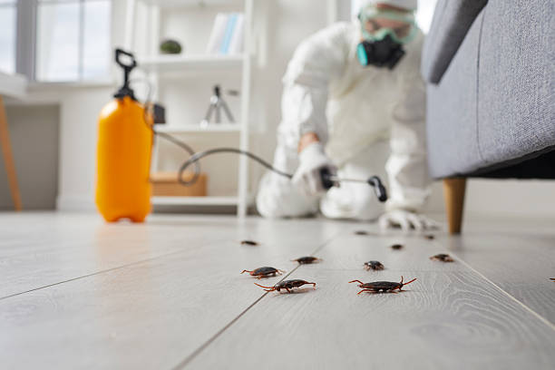 Trusted Fumigation Services service in Rose Hills, CA - Nex Pest Control