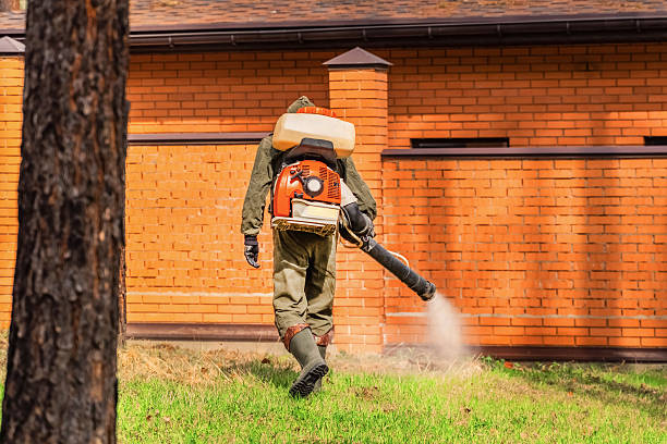 Trusted Termite Control service in Rose Hills, CA - Nex Pest Control